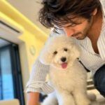 Kartik Aaryan Instagram - Love you to infinity ♾ 💛 Woof 🐾