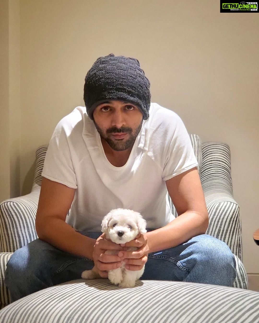 Kartik Aaryan Instagram - Katori 🐾 My Fluff ball ☁️