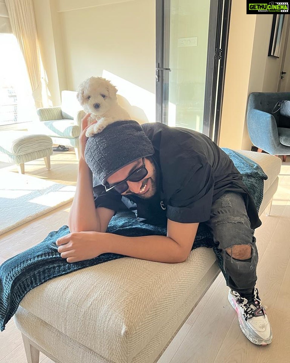 Kartik Aaryan Instagram - Ye mujhe kaam nahi karne degi @katoriaaryan 🐾❤️