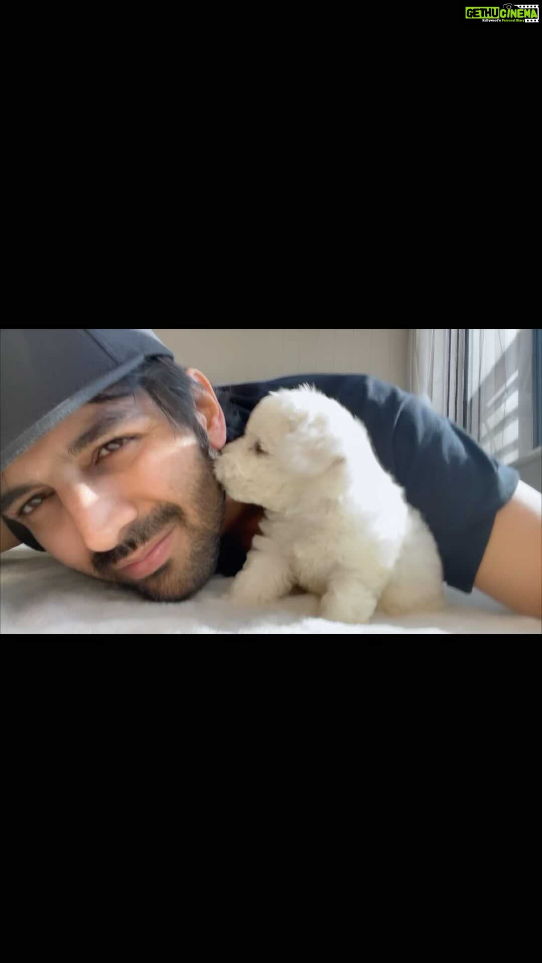 Kartik Aaryan Instagram - Love is a four legged word ☁️🤍 @katoriaaryan 🐾