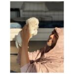 Kartik Aaryan Instagram – Katori ❤️ 🐾 
I’m in LOVE again 🥰
@katoriaaryan