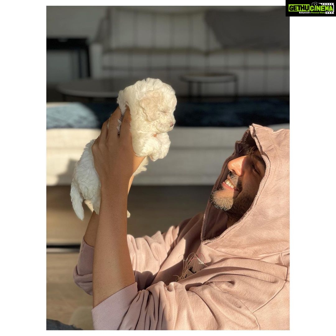 Kartik Aaryan Instagram - Katori ❤️ 🐾 I’m in LOVE again 🥰 @katoriaaryan