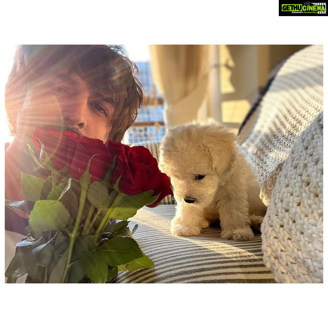 Kartik Aaryan Instagram - “Heck everyday is Valentine’s Day when you’re dizz cute” 🌹♥️ - @katoriaaryan