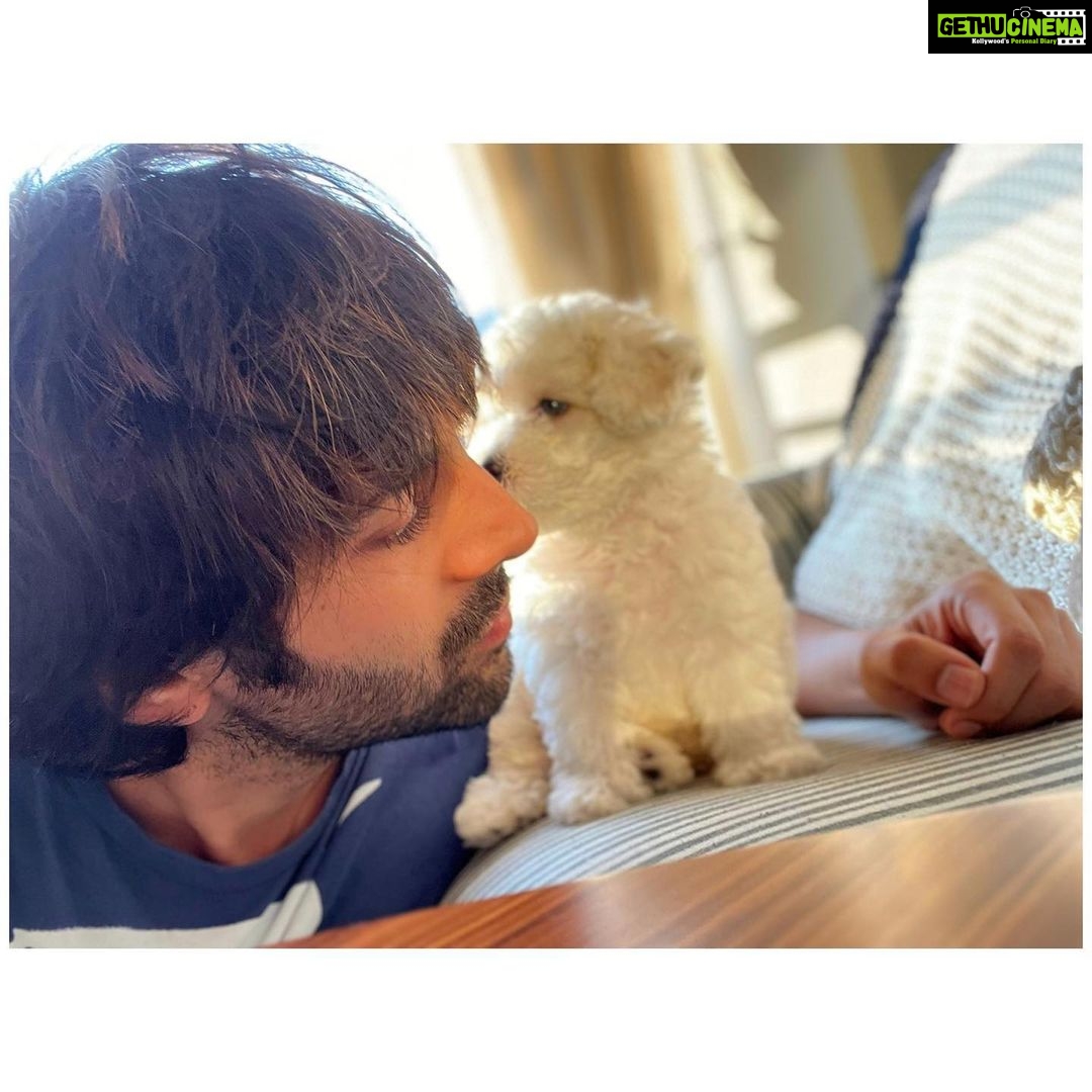 Kartik Aaryan Instagram - “Heck everyday is Valentine’s Day when you’re dizz cute” 🌹♥️ - @katoriaaryan