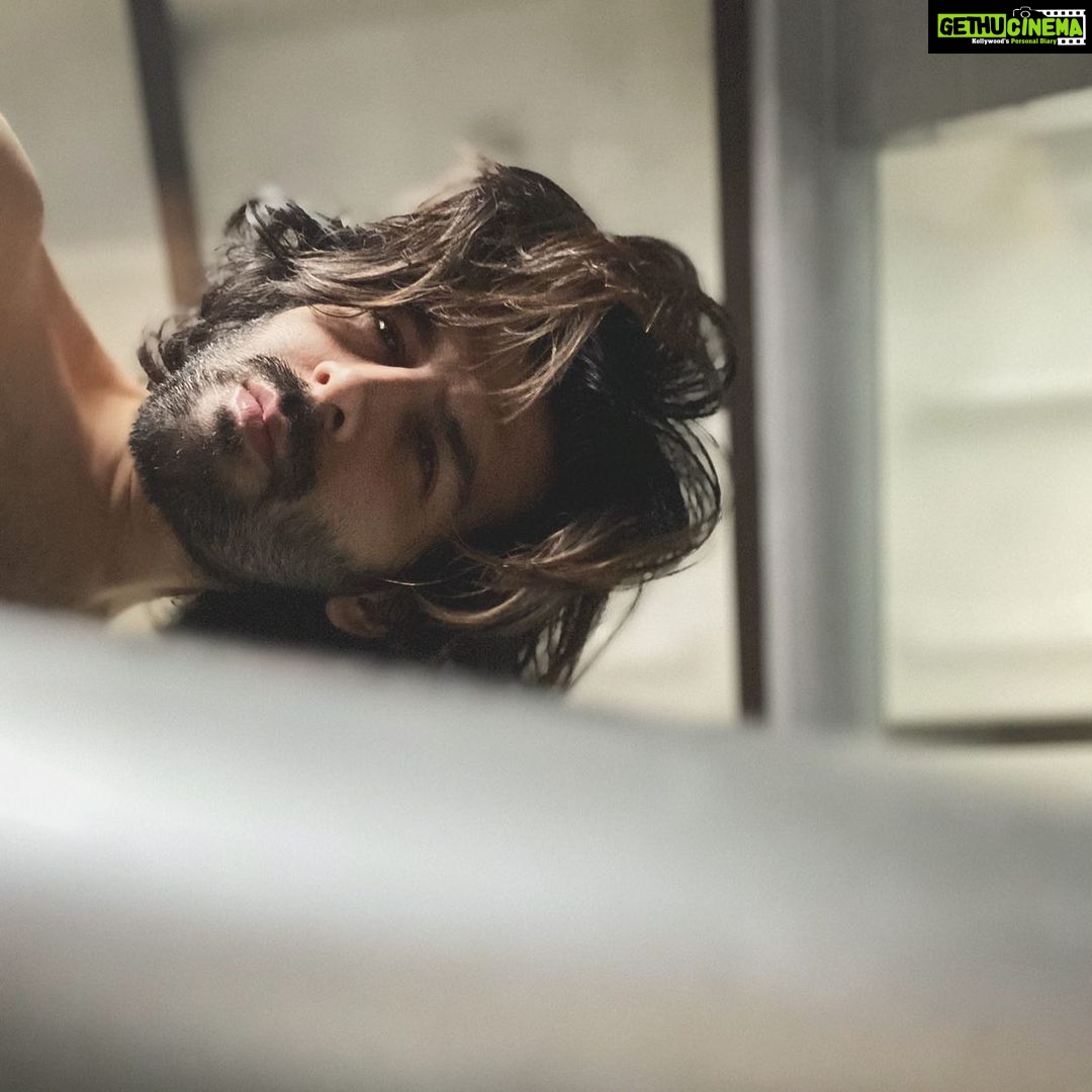 Kartik Aaryan Instagram - Now say you are a bird !! If you are a bird I am a bird too ✨