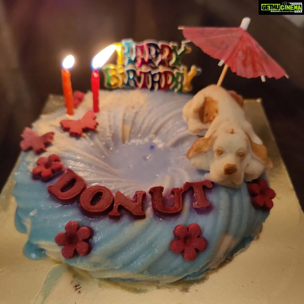 Kratika Sengar Instagram - Happy Birthday my grumpy Donut.. I love youuuww❤❤ #11th #pawday