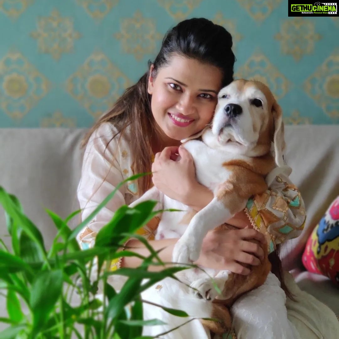 Kratika Sengar Instagram - Happy Birthday my grumpy Donut.. I love youuuww❤️❤️ #11th #pawday