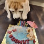 Kratika Sengar Instagram - Happy Birthday my grumpy Donut.. I love youuuww❤️❤️ #11th #pawday