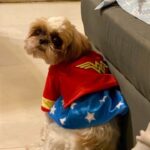 Ma Ka Pa Anand Instagram – Flashback #flash #PrimeReels