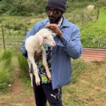 Ma Ka Pa Anand Instagram - Sheep farm @destinyfarmresort @gtholidays.in #sheep