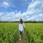 Malavika Mohanan Instagram - 10/10 times will get excited every time I see a pretty paddy field 🌾🤍 📸 @alvin_henry_samuel