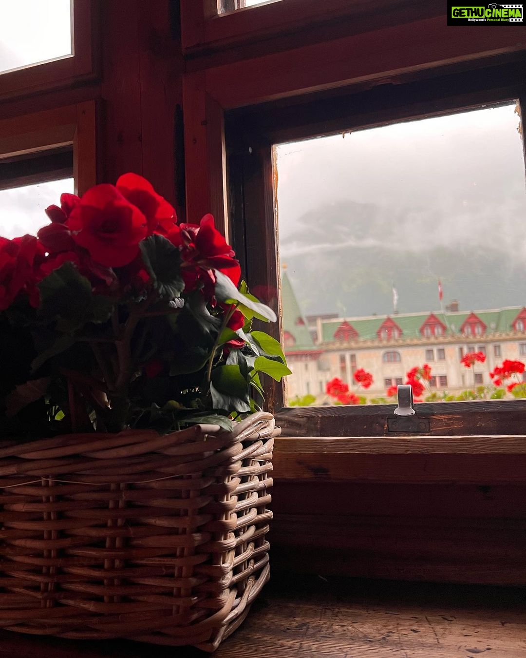 Mira Rajput Instagram - Dinner date with Amore Mio ❤️ Chesa Veglia is supposed to be one of the best restaurants in St Moritz, but what stood out for me wasn’t just how simple yet delicious the food was, but the way the atmosphere just enveloped us into Italian warmth and hospitality. Rustic atmosphere, wooden interiors and low ceilings take you back to a time where you may have wanted to belong. My favourite was the Pizza with Brie that I just couldn’t stop eating (crawled onto Shahid’s plate too). And I’m so glad the hotel wasn’t far because girl, these boots are not meant for walking. @badruttspalace #travelgram #itraveltoeat Restaurant-Bar Chesa Veglia