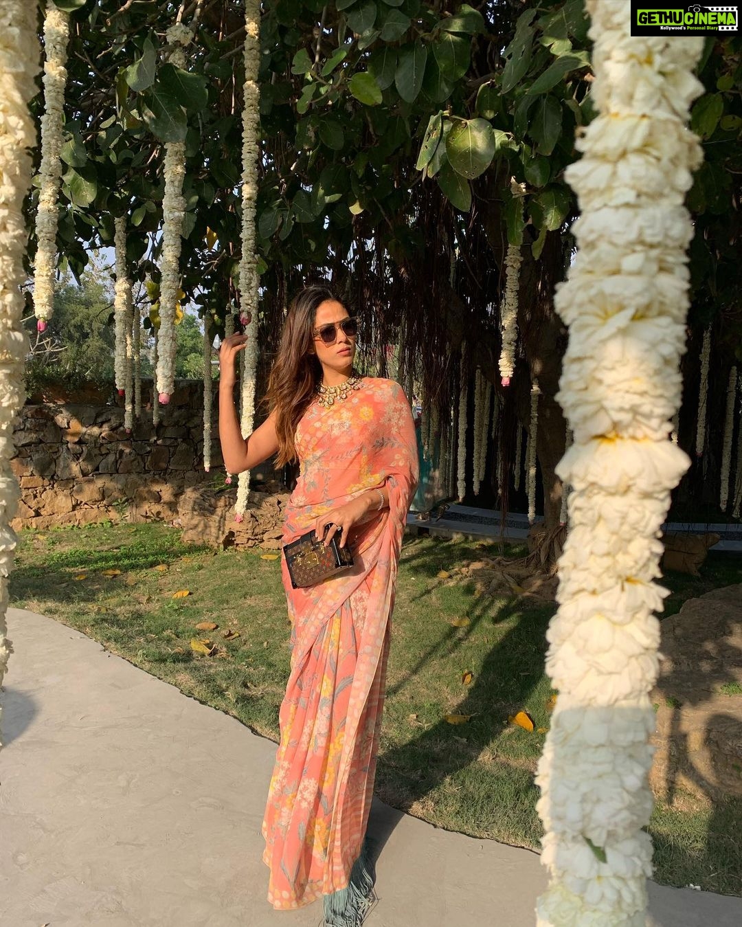 Mira Rajput Instagram - Was there a more appropriate time to use the caption ‘Sari not sorry’ ? If I had to wear one kind of outfit to an occasion that required any level of formality or festivity, it would be a chiffon sari. #gotitfrommymama