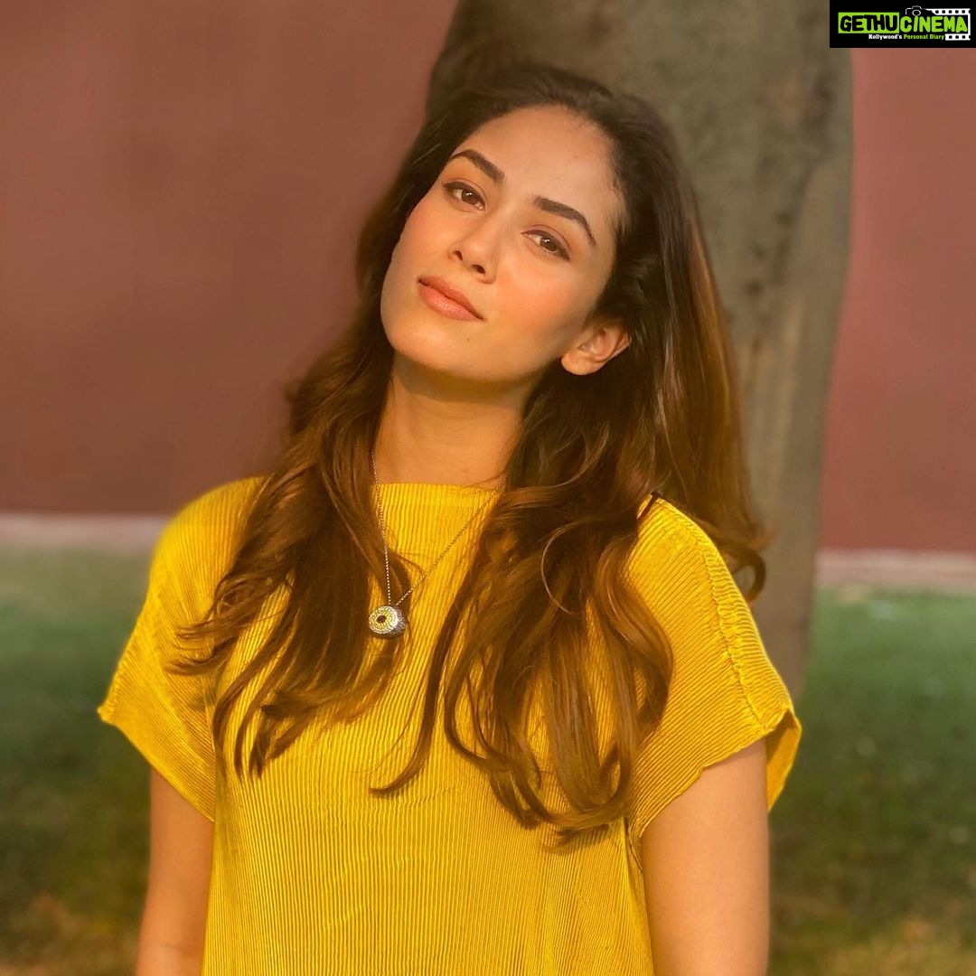 Mira Rajput Instagram - Did I already tell you? I 💛 Yellow