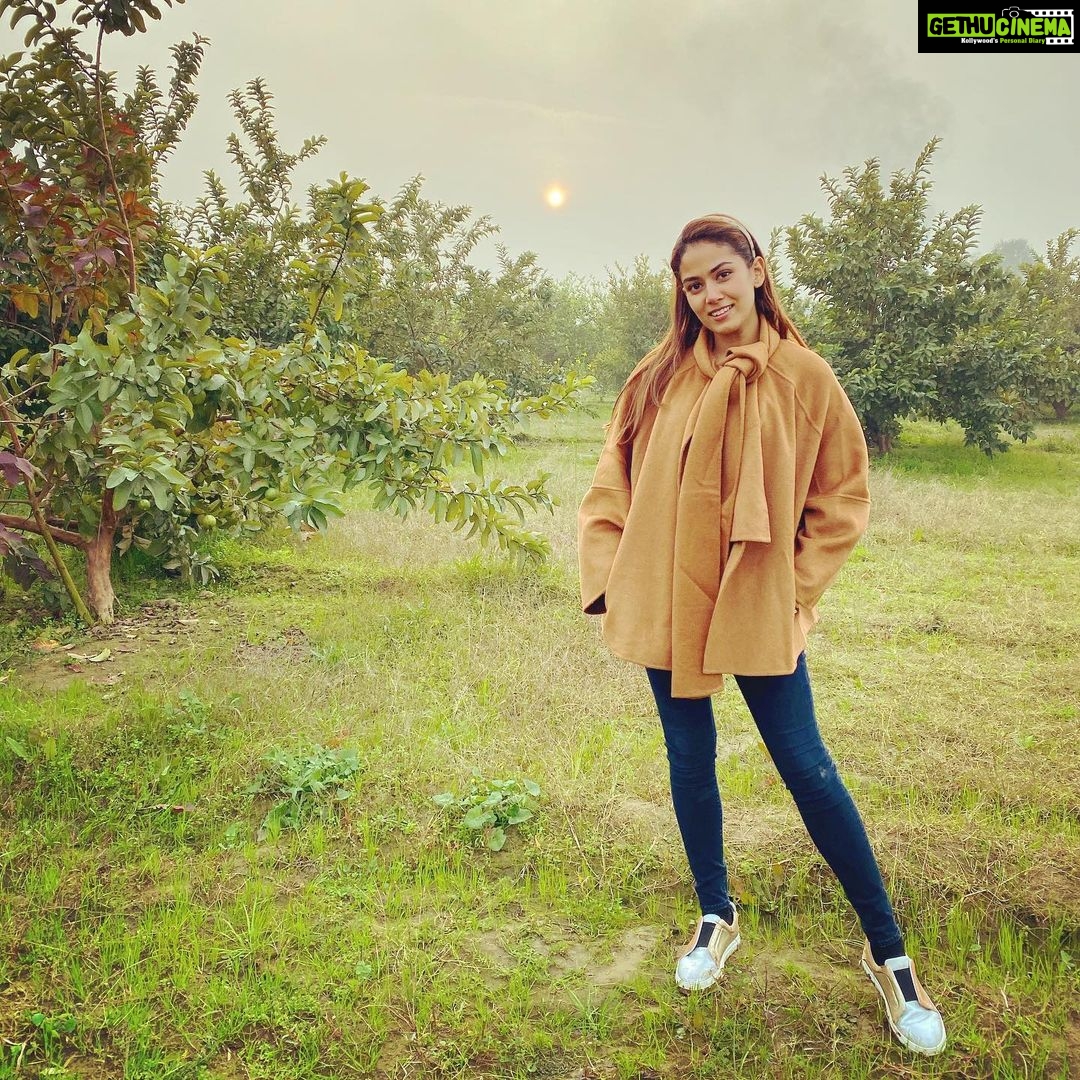 Mira Rajput Instagram - Such a feelin's comin' over me There is wonder in 'most every thing I see Not a cloud in the sky, got the sun in my eyes And I won't be surprised if it's a dream I’m on the top of the world 🎶