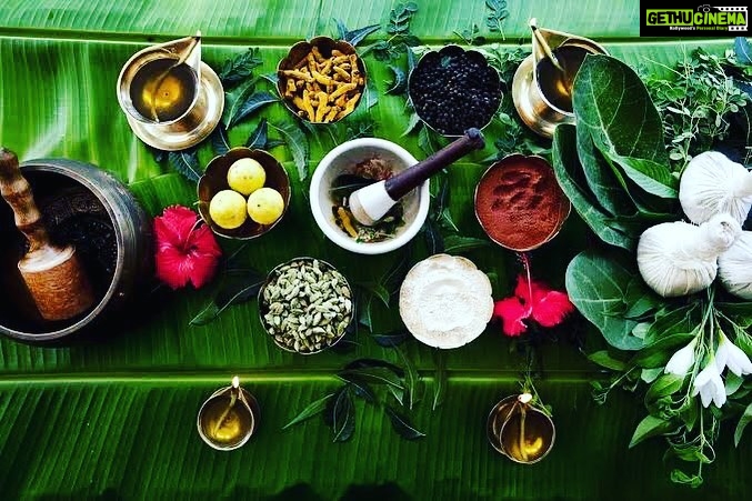 Mira Rajput Instagram - Let’s go back to our roots. #ayurvedalife
