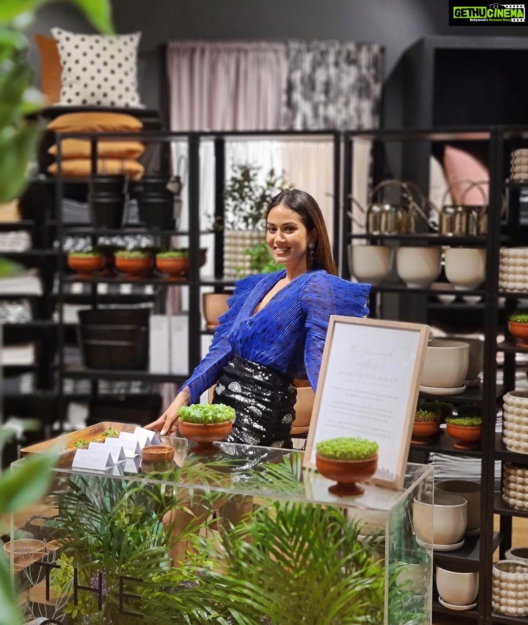 Mira Rajput Instagram - I couldn’t be more excited to see this microgreens pop-up ☘️🌿 at @hmhome store in New Delhi! I love adding them to just about everything. What’s your favourite way to eat them ? #HMHOME #WELCOMEHOME #ad