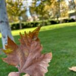 Mouni Roy Instagram - This early piece of morn’ is mine🍁 #mornsinthepark