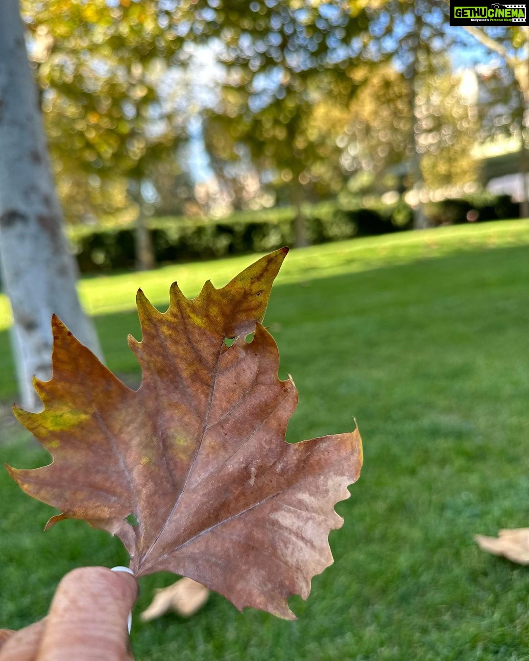 Mouni Roy Instagram - This early piece of morn’ is mine🍁 #mornsinthepark
