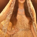 Nargis Fakhir Instagram – Such a splendid gown this is, the lustrous hues of the bisque just made me gleam even brighter than the stars. Amazing detailing @ayesha.shoaib.malik