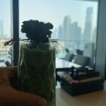 Neha Sharma Instagram – 24 hours in Dubai…