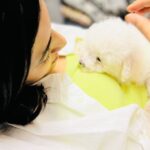 Niharika Konidela Instagram - It was love at first sight. 🤍🧿