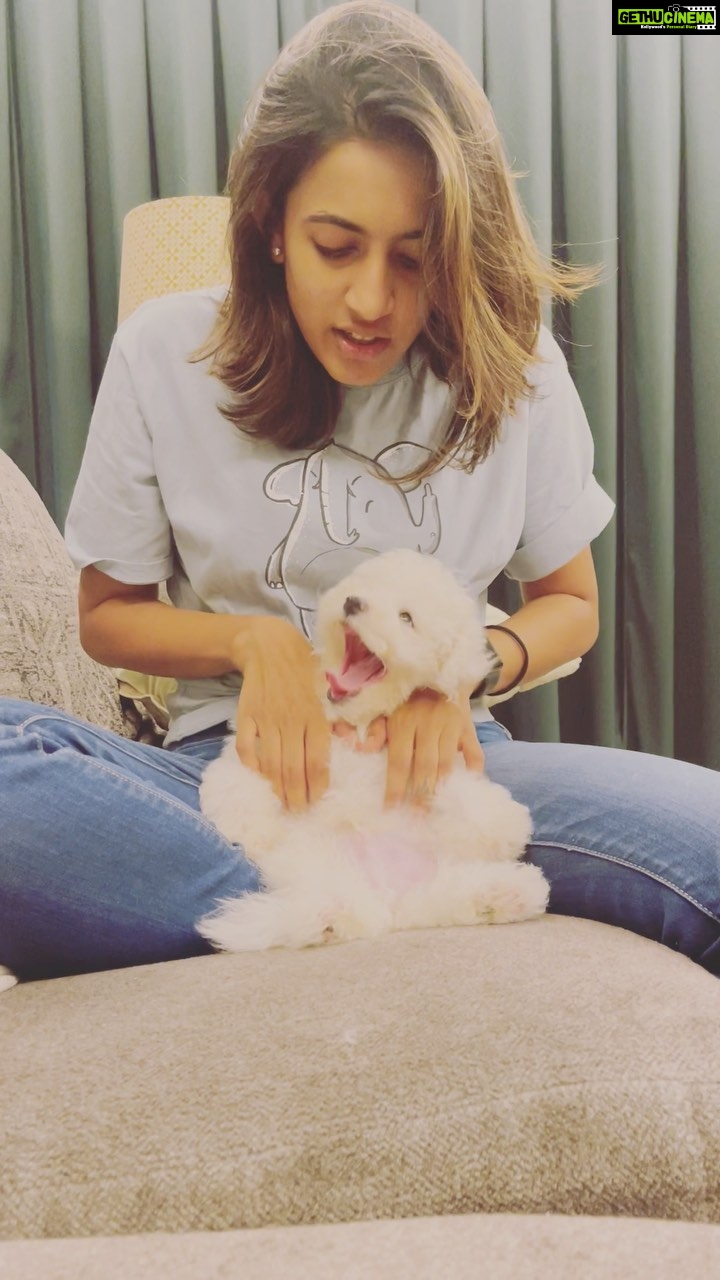 Niharika Konidela Instagram - CUTENESS ALERT! 😍 Not for the weak hearted! 🧿🧿🧿