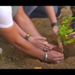 Nivetha Pethuraj Instagram - Little drops make the mighty ocean. Likewise, tiny acts of service towards our community, however small, make an enormous impact together. Between August 15 and September 16, 2022, @amazondotin organised the Global Month of Volunteering, giving employees the opportunity to volunteer in various ways, whether it was mentoring young children, cleanup drives, packing food kits, transforming schools, and much more! Here’s a glimpse of the amazing impact they were able to make. Do you have your own volunteering story too? Share it in the comments below! #AmazonGMV #Ad @shankarehsaanloy