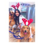 Nora Fatehi Instagram - Merry Christmas and happy holidays everyone from me and these cuties❤️🎄🥰