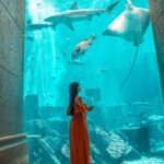 Nora Fatehi Instagram - Take me back 🐠 😍 #mydubai @atlantisthepalm 📷 @therollingprodigy