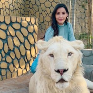 Nora Fatehi Instagram - Its that Lion energy from now on😏 …they so beautiful tho 👀😍

thanks to Masood and his entire team for giving me this opportunity to interact with these beautiful animals who have been rescued from circuses and mistreatment. Your whole team is doing a great job at rehabilitating them.. This was a surreal experience for me and I’ll remember it forever 💛