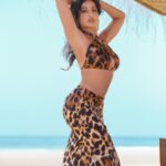Nora Fatehi Instagram - The sun would set so high Ring through my ears and sting my eyes Your Spanish lullaby❤️‍🔥 🥥 💦 ☀️ 🐆 📷 @mohamedsaadstudio Outfit: @thelabel.jenn Earrings: @misho_designs @chandiniw @stacey.cardoz