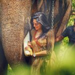 Nyla Usha Instagram - That was one ele of a feel... Ganapathy 🐘was kind enough to let me touch, hug , climb, feed, photograph him. Thanks to my friend #brotherfromanothermother @sarathkrishnanmr for this and that and those...😀 . . . For I love everything about Thrissur ! Pics by: @godson_jacob_ @dixon_vincen