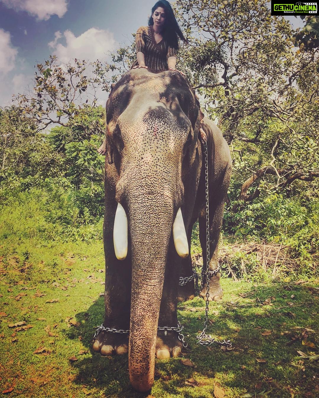 Nyla Usha Instagram - That was one ele of a feel... Ganapathy πwas kind enough to let me touch, hug , climb, feed, photograph him. Thanks to my friend #brotherfromanothermother @sarathkrishnanmr for this and that and those...π . . . For I love everything about Thrissur ! Pics by: @godson_jacob_ @dixon_vincen