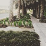 Nyla Usha Instagram - The path that leads