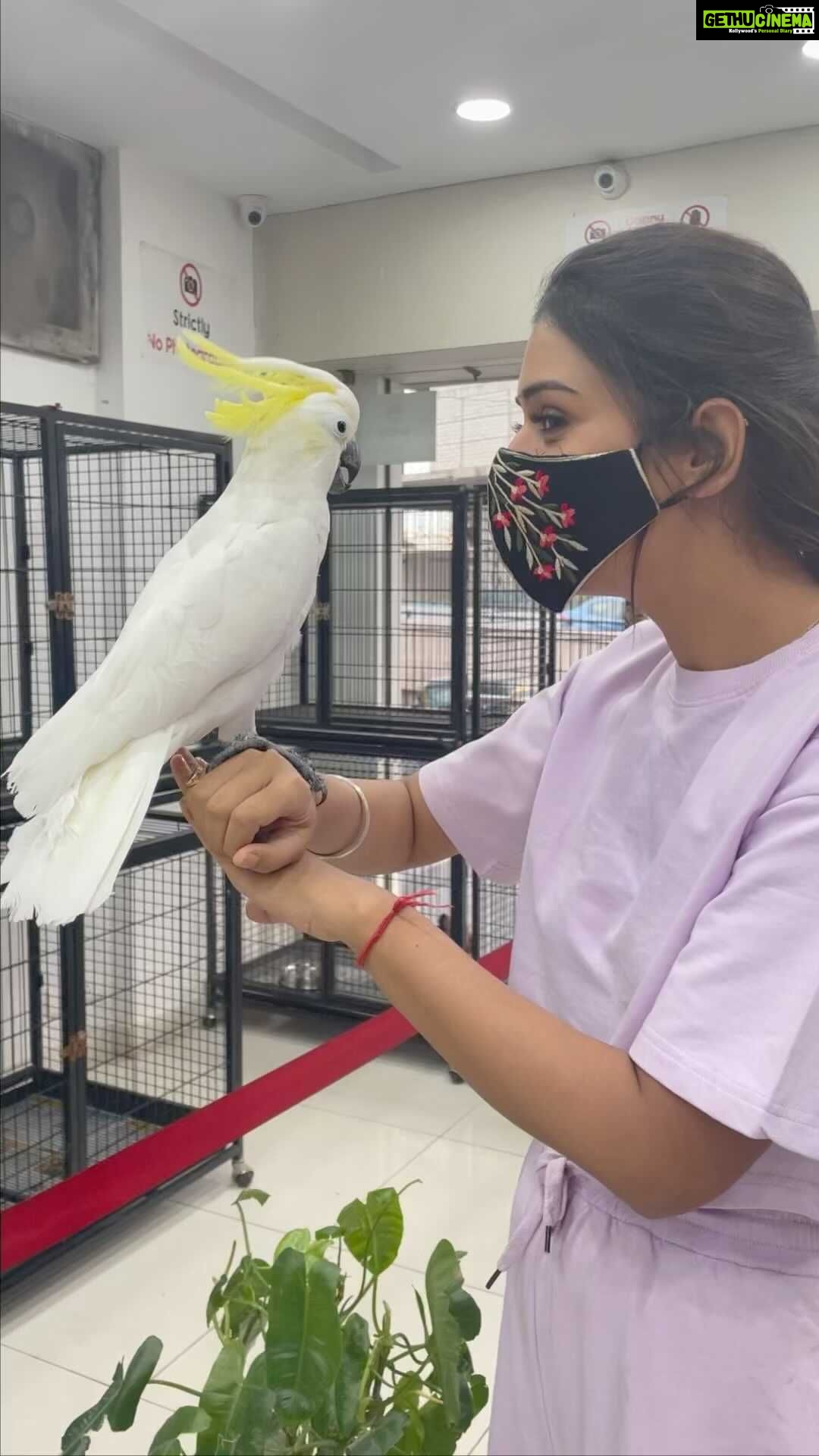Payal Rajput Instagram - Look at this beauty.... 🥰.. I wish I could have you 🤍