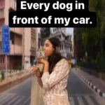 Prajakta Koli Instagram - Yeh Kutte bhi na.