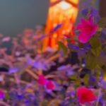 Prajakta Koli Instagram - 🪔 🏠