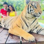 Priya Varrier Instagram – Met these majestic creatures today!🐯
If you’re looking at planning exotic vacations, @pickyourtrail is a saviour!
Thank you for making this happen last minute☺️
How can I forget to mention the beautiful @pullmanphuketpanwa resort we’re staying at!
Check them out. Tiger PARK Phuket
