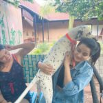 Raiza Wilson Instagram - The perfect Sunday for me 🪺 Food fun frolic & furry bunnies ⛅️ @nh7.refuel ☀️ @bangalore_hunts 🪑 NH7 Refuel