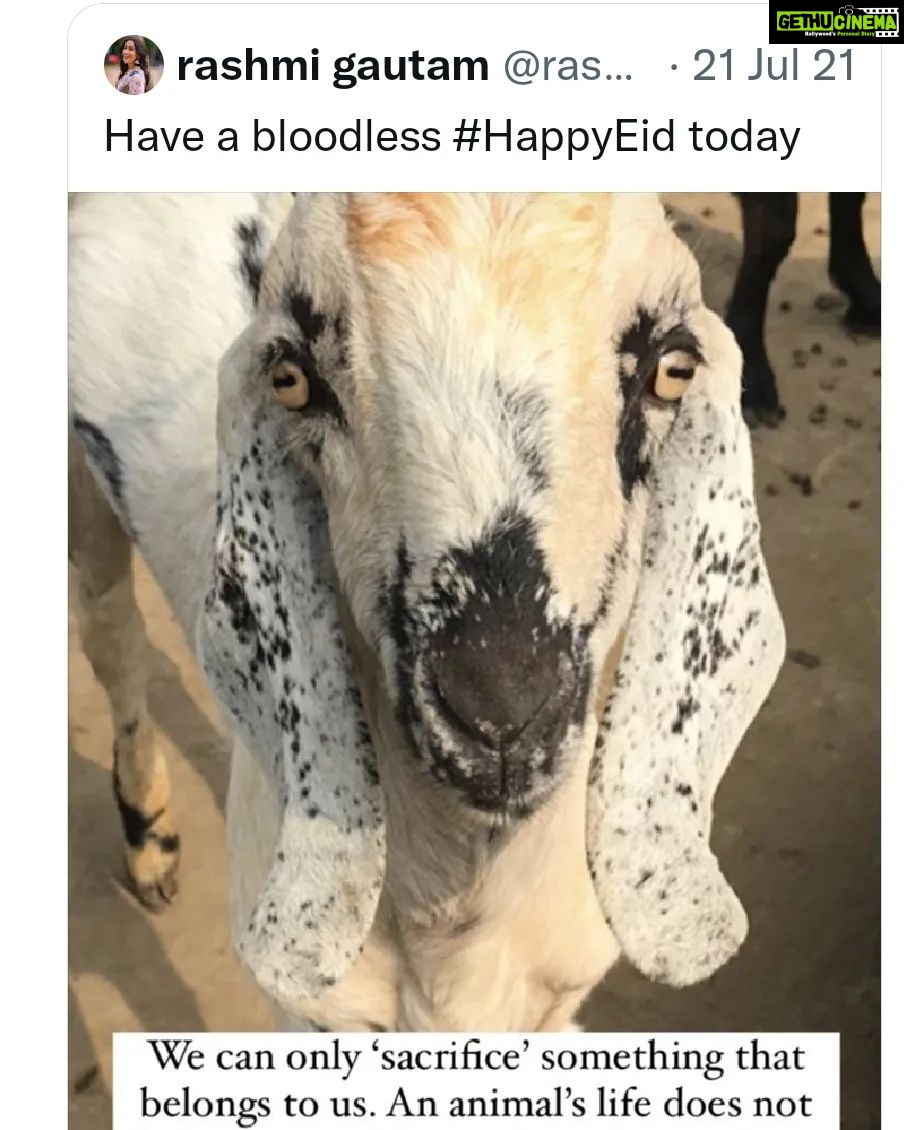 Rashmi Gautam Instagram - Where were all the Hindu supporters who are calling my an ANTI HINDU today No one fought that day Because most of you can only pick on a HINDU the goal here is to save animals and make sure no animals are harmed Asking to avoid loud noise explosives has become such a big issue almost 1000 comments under a Hindu post and no hindu fought by my side that day made jokes of kebabs and biryanis