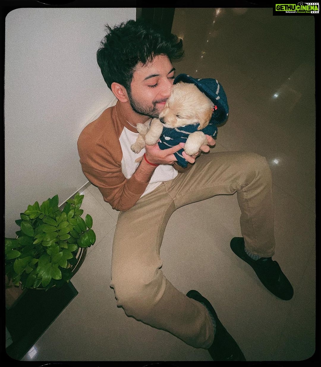 Rohit Suresh Saraf Instagram - Yuus I’m hella obsessed #CoopiePoopie 🐶
