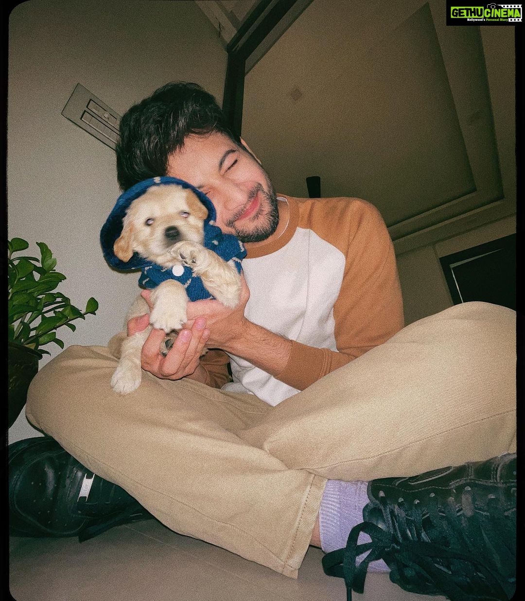 Rohit Suresh Saraf Instagram - Yuus I’m hella obsessed #CoopiePoopie 🐶