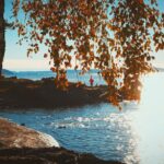 Rohit Suresh Saraf Instagram - Bygdøy (iii) . . . #scandanavia #oslo #norway #bygdøy #beach #onthebeach #water #horizon #blue #shadesofblue #trees #lush #yellow #warm #clouds #cloudporn #vsco #vscoonly #vscodaily #visitoslo Bygdøy, Oslo, Norway