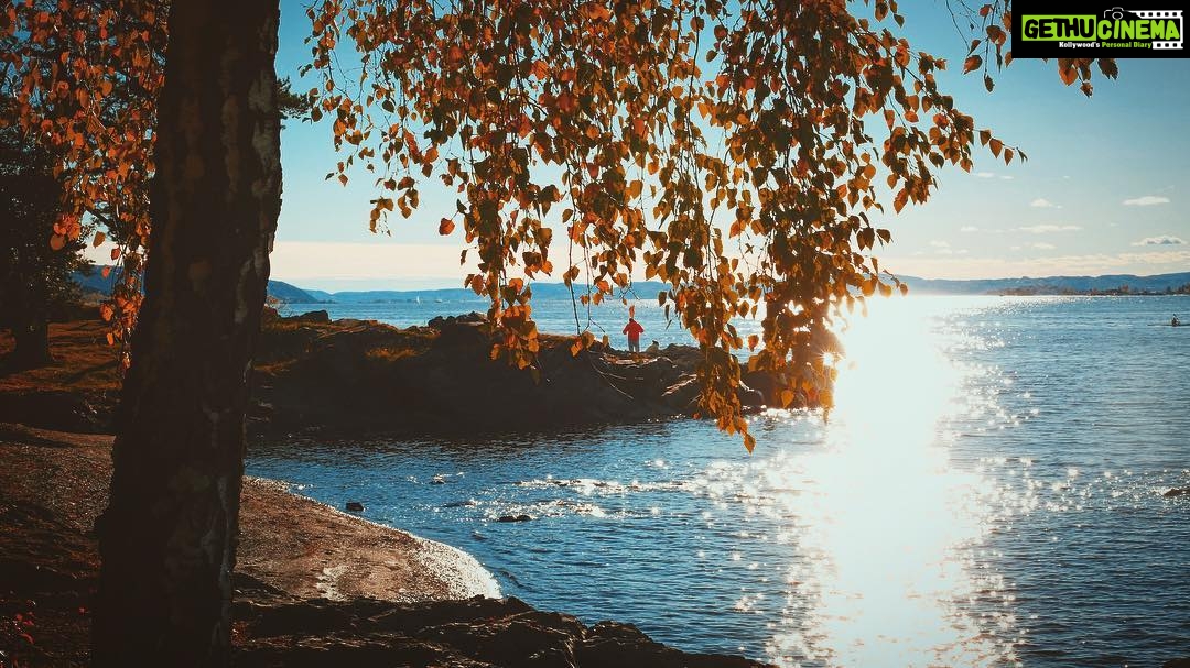 Rohit Suresh Saraf Instagram - Bygdøy (iii) . . . #scandanavia #oslo #norway #bygdøy #beach #onthebeach #water #horizon #blue #shadesofblue #trees #lush #yellow #warm #clouds #cloudporn #vsco #vscoonly #vscodaily #visitoslo Bygdøy, Oslo, Norway