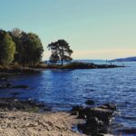 Rohit Suresh Saraf Instagram - Bygdøy (ii) . . . #scandanavia #oslo #norway #bygdøy #beach #onthebeach #water #horizon #blue #shadesofblue #trees #lush #yellow #warm #clouds #cloudporn #vsco #vscoonly #vscodaily #visitoslo Bygdøy, Oslo, Norway