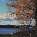 Rohit Suresh Saraf Instagram - Bygdøy (i) . . . #scandanavia #oslo #norway #bygdøy #beach #onthebeach #water #horizon #blue #shadesofblue #trees #lush #yellow #warm #clouds #cloudporn #vsco #vscoonly #vscodaily #visitoslo Bygdøy, Oslo, Norway