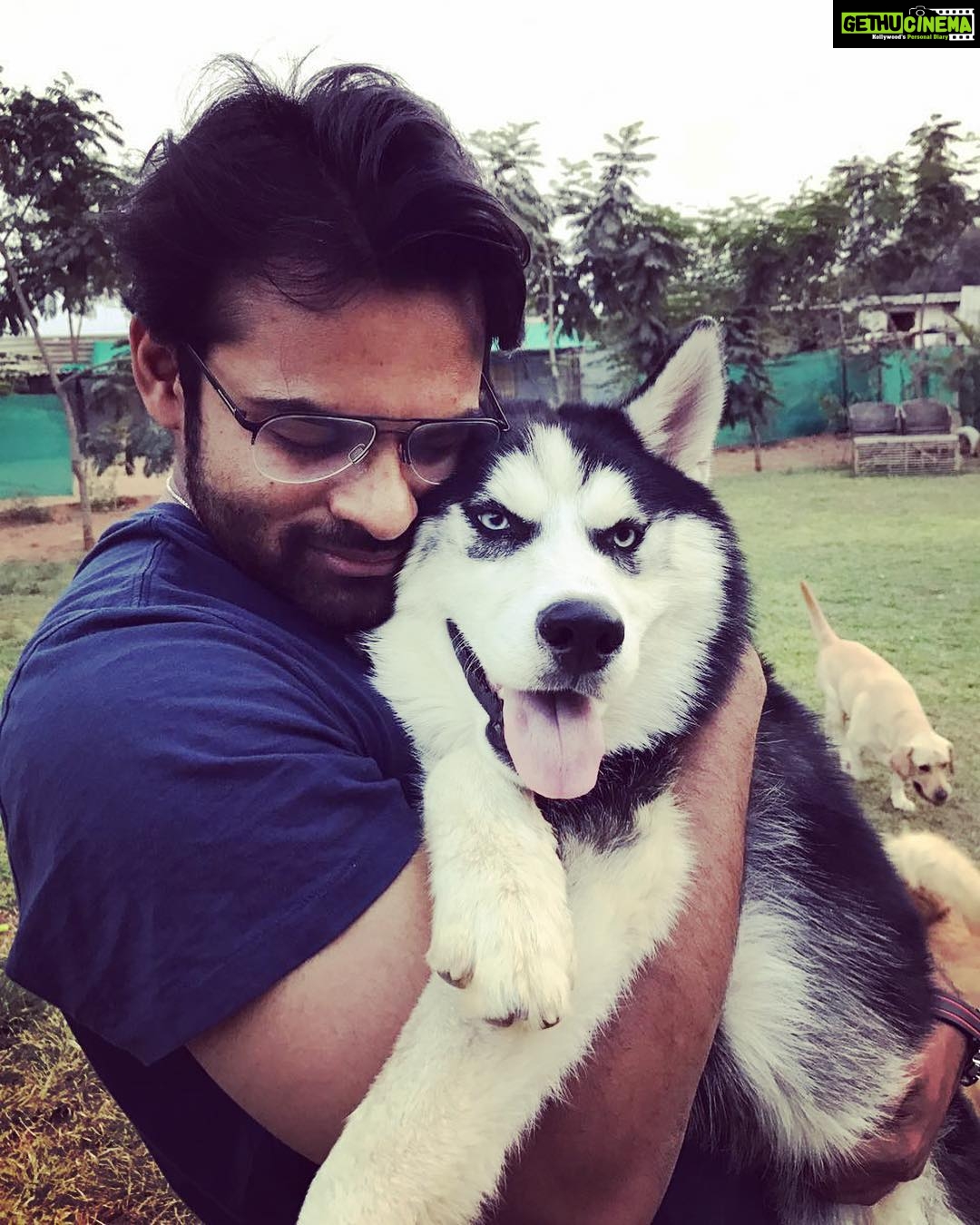 Sai Dharam Tej Instagram - #panjatangotej #❤️ #husky 🐺