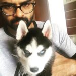 Sai Dharam Tej Instagram - New addition to my family #panjatangotej 🐶 #husky