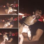 Sai Dharam Tej Instagram - MAXIMUS BOY